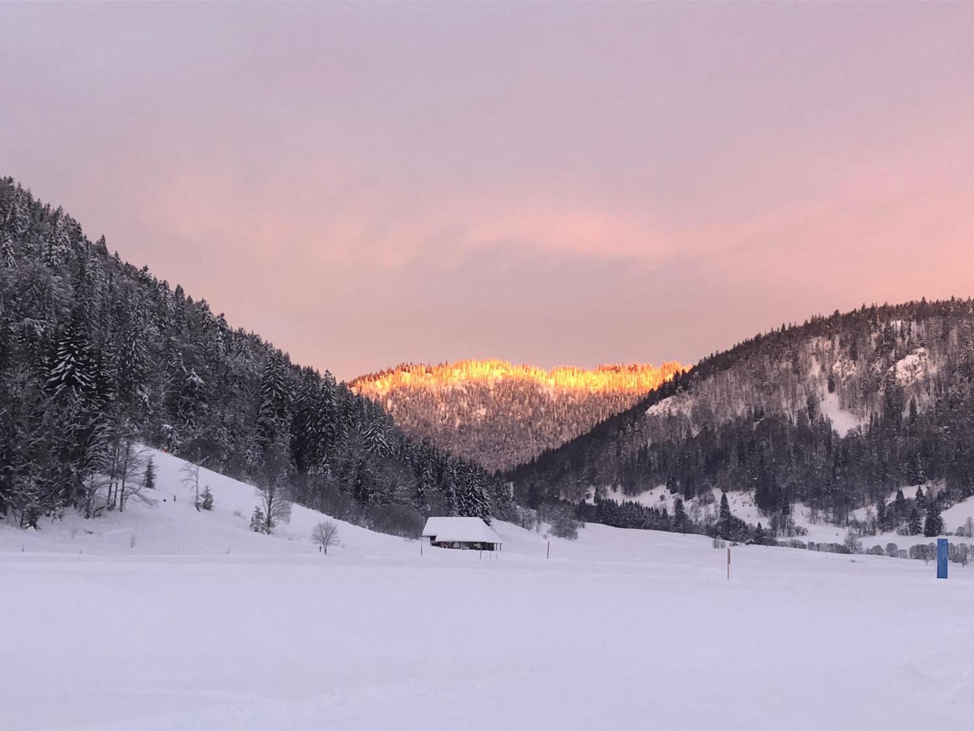 Forest Apartment-Mountain Escape Menzenschwand Санкт-Блазін Екстер'єр фото