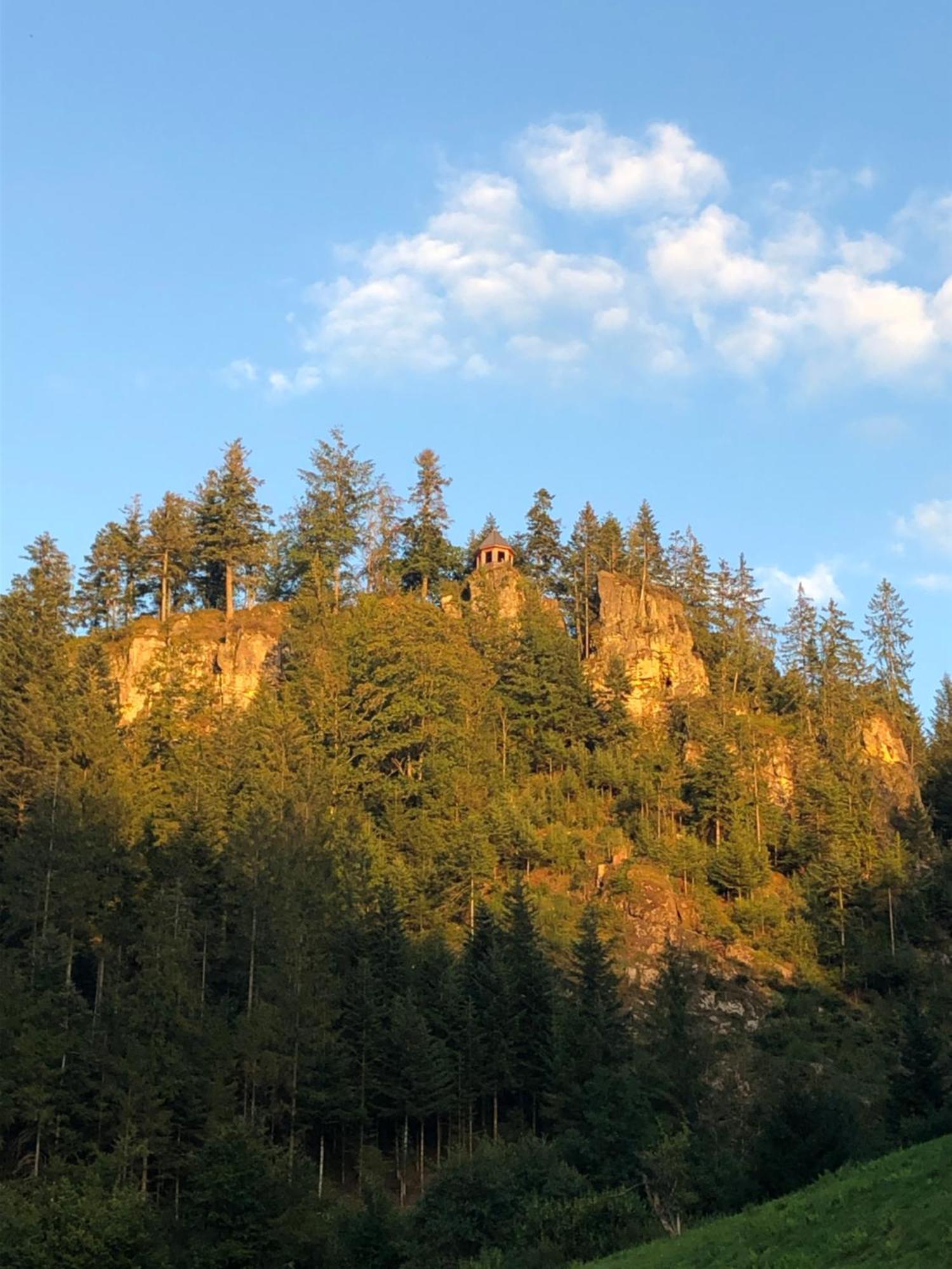 Forest Apartment-Mountain Escape Menzenschwand Санкт-Блазін Екстер'єр фото